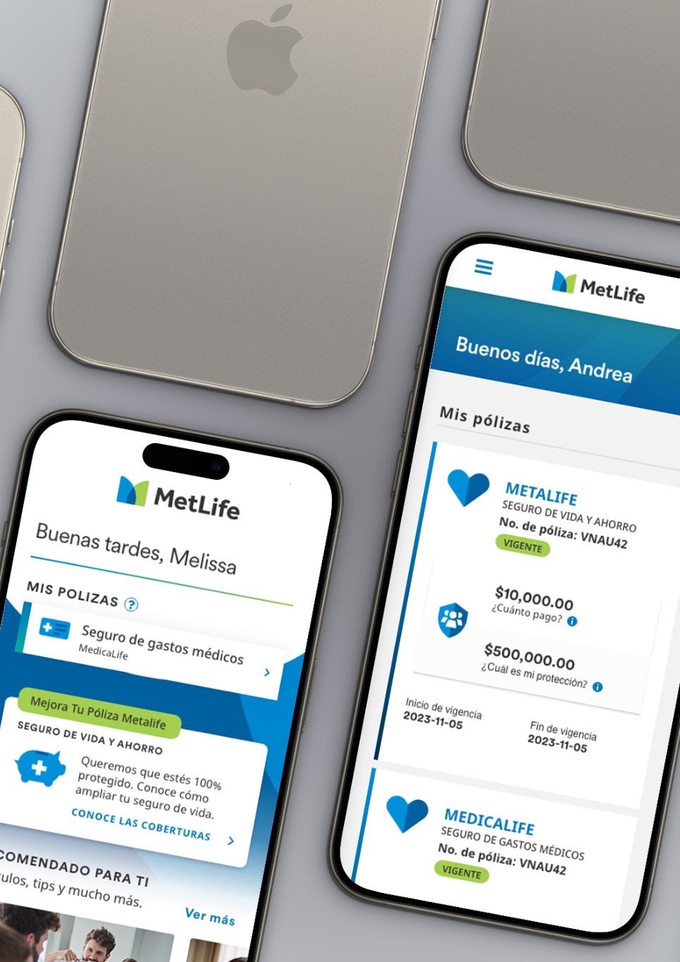 MetLife CSS mockup